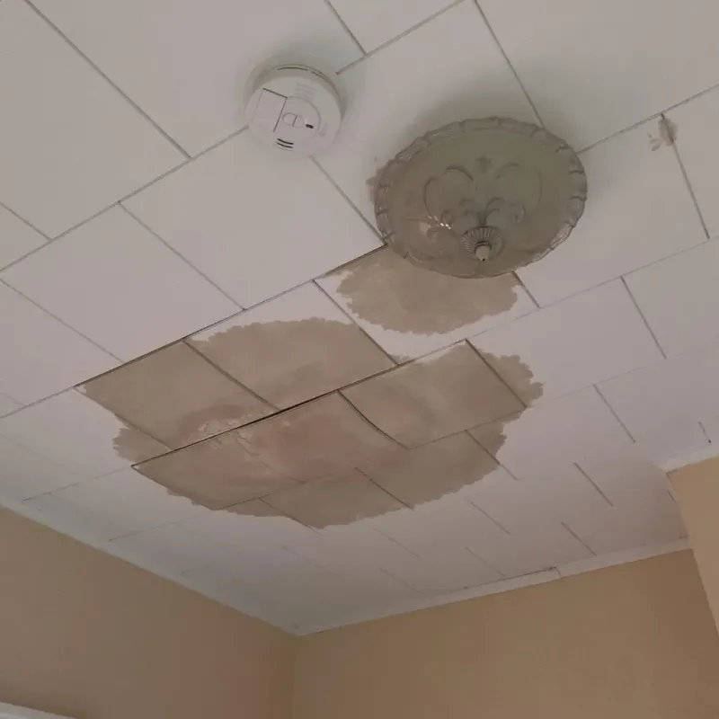 Ceiling Water Damage Repair in Lowndes County, MS