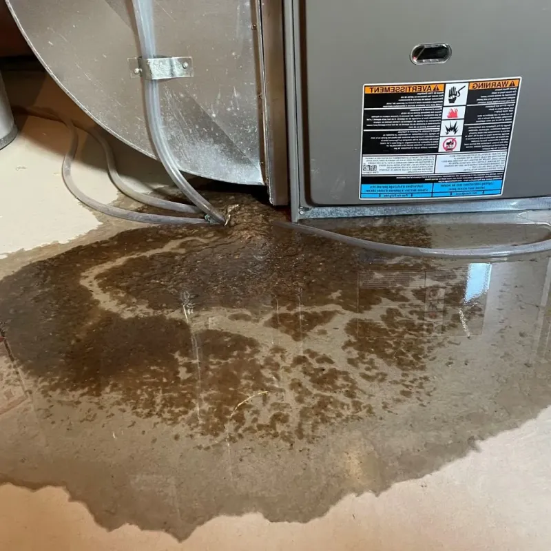 Pipe Burst and Leak Restoration in Lowndes County, MS