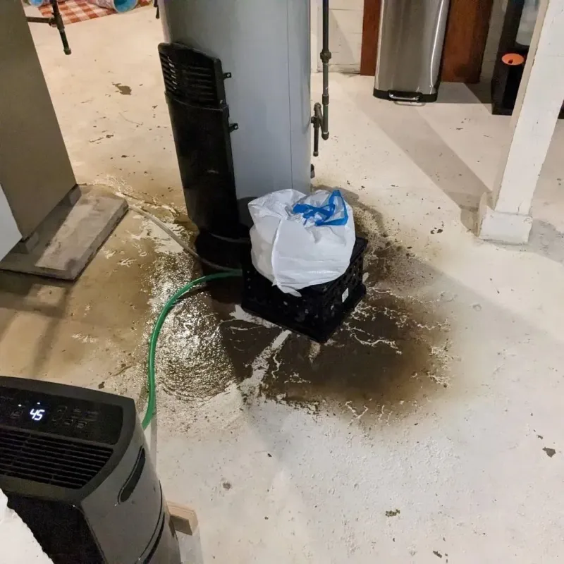 Sewage Backup Cleanup Service in Lowndes County, MS